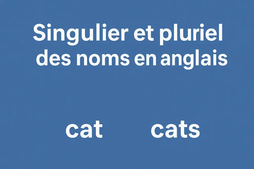 Singulier et pluriel des noms